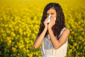 cvetni-prah-alergija