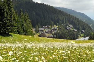 apartmaji golte
