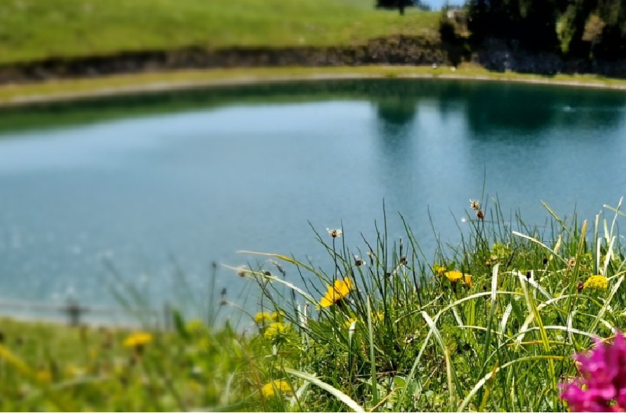 Na oddih v neokrnjeno naravo – Golte